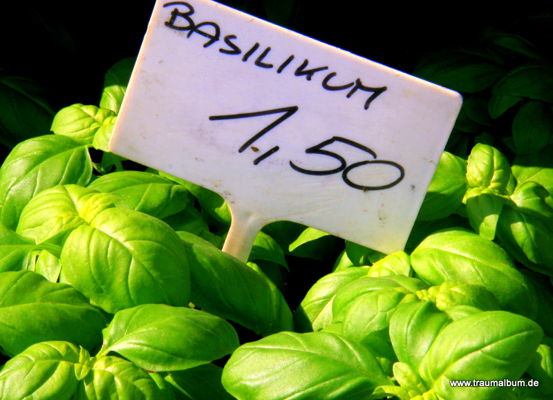 Basilikum: Es riecht nach Sommer und Italien - Olfaktorischer Farbrausch