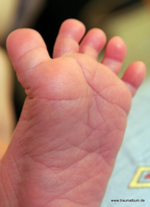 Ein kleiner Babyfuß mit perfekten kleinen Knubbelzehen