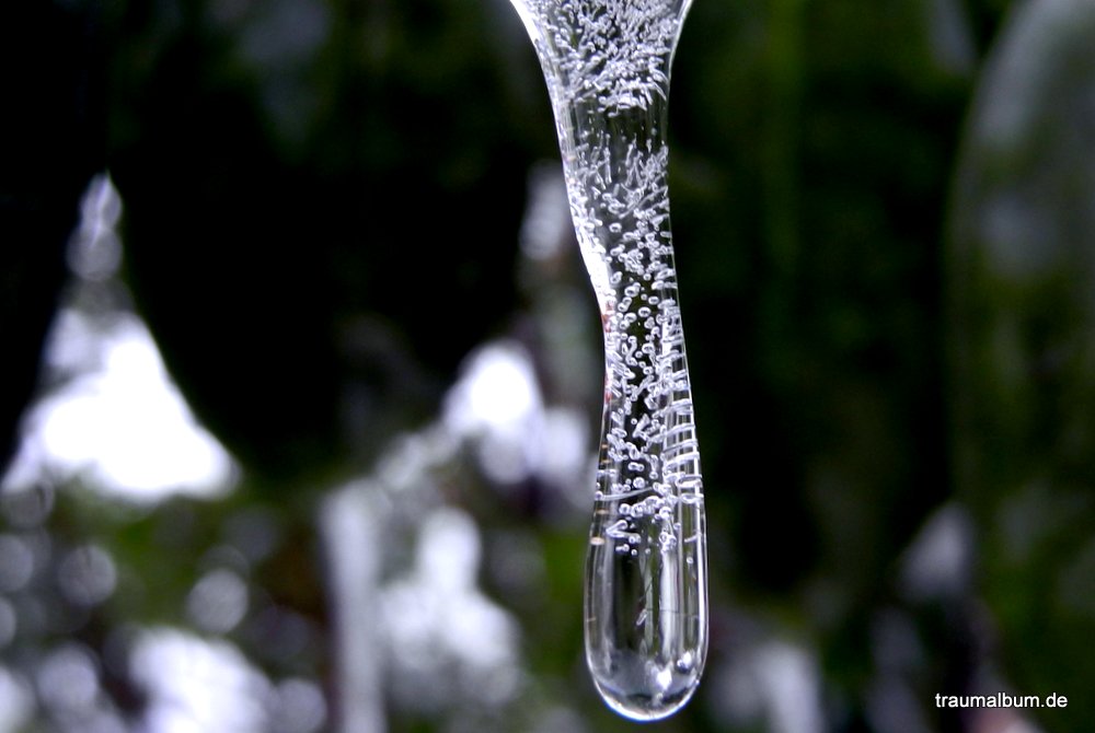 Eistropfen im Garten - Ein Beitrag für meine Sammlung Aqua