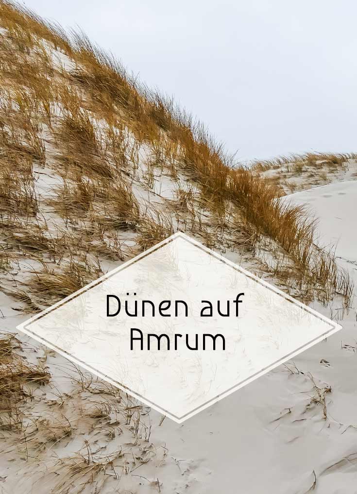 Die wunderschöne Dünenlandschaft von Amrum